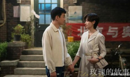 中国的电视剧,中国电视剧的魅力之旅