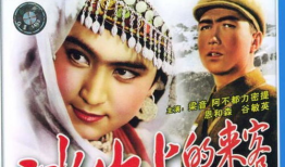 冰山上的来客电视剧,揭秘神秘边陲的传奇故事