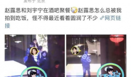 吃瓜爆料赵露思聚餐,吃瓜群众热议